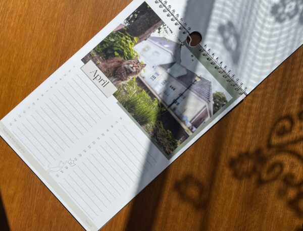 1000020501-scaled.jpg Catwalk Edam / Verjaardagskalender