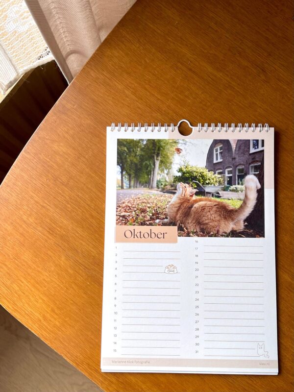 1000020509-scaled.jpg Catwalk Edam / Verjaardagskalender